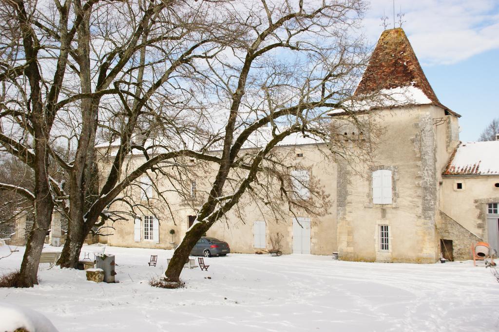 Chateau De La Combe Puyrenier Exterior foto