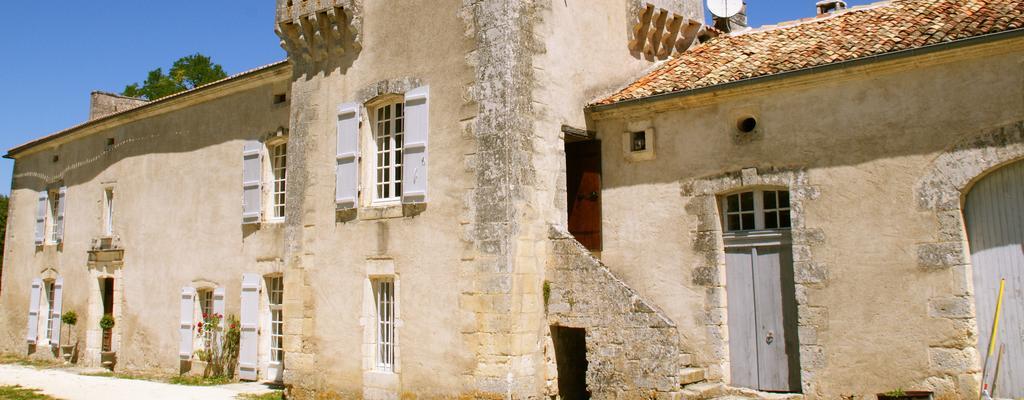 Chateau De La Combe Puyrenier Exterior foto